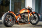 Preview: TB Heckfender GP-Style / FatBoy, Breakout & FXDR / 260 mm / 21" Rad / ab 2018 / mit Rücklicht + Blinker / Tüv