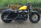 Preview: EURO 4: FALCON Double Groove - SlipOn / HD Sportster XL 883 / 1200 / Slip On / schwarz / 17 - / EG-BE