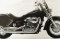 Preview: SALE: Falcon Double Groove / Komplettanlg. - silber - ohne Kat / Honda VT 750 Black Widow + Shadow / EG-BE