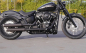 Preview: MILLER 2-2 - Independence - silber - EURO4 / Harley Low Rider S / SlipOn 114 CUI / EG-BE