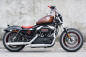 Preview: PENZL Retro Line Auspuffset verstellbar /fein gebürstet / Harley Sportster / bis 2003 / EG-BE