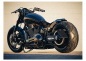 Preview: NEU: seitl. TBG - Kennzeichen-Grundh. - medium / black / HARLEY - FXDR / kein TÜV