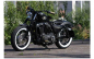 Preview: TB Fußrastenanlg. / BASE BRASS / Alu schwarz / Harley Sportster 2003 - 14 / TÜV