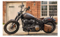 Preview: TB - einteilige Sissy Bar / Rigid Mount 21" / Harley Softail ab 2018 / chrom / groß