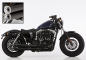 Preview: FALCON Double Groove  / HD Sportster XL 883/1200 / Komplettanlg. / KAT / black / 2014 - 17 / Eu 3 / ABE