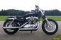 Preview: SALE: PENZL Neo Classic - Auspuffset verstellb. / fein  gebürstet / Harley Sportster / 14 - 16 / EG-BE