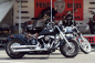 Preview: PENZL - Retro Line Auspuffset / verstellbar / fein gebürstet / HD Dyna - StreetBob / 08 - 16 / EG-BE
