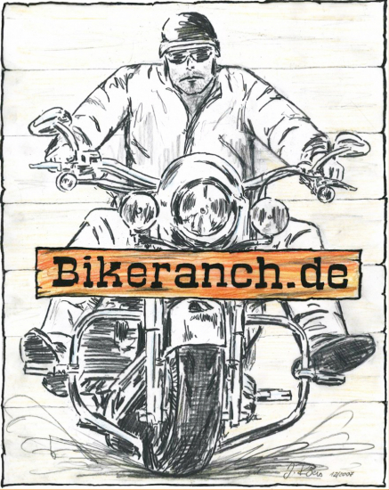 Black Sale: nur 1 x KESSTECH Komplett 2 in 1 / ceramic schwarzmatt / nicht verstellb. / Harley Sportster XL 883 - 1200 / mit EG / ABE