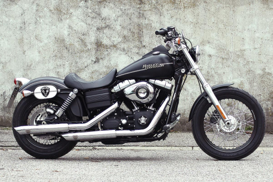 PENZL - Neo Classic Auspuffset verstellb. / fein gebürstet / HD Dyna StreetBob / bis 2006 / EG-BE