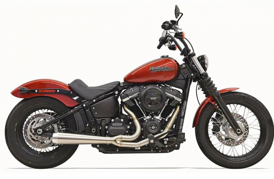Sound Sale: Eagle Iron - RR - 2 in 1 Komplettanl. - Kat / silber poliert / HD Softail Dyna - ab 2018 / EG-BE
