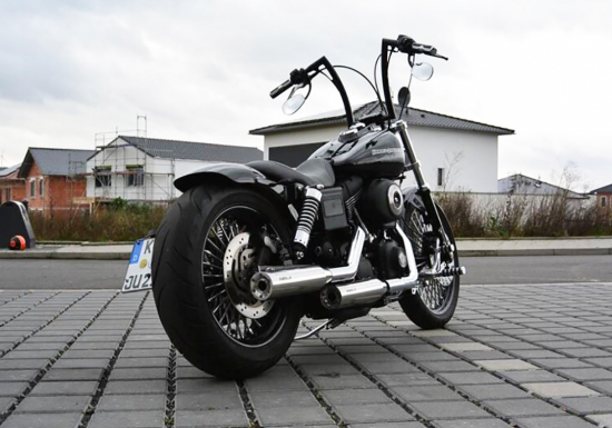 Eagle Iron - Komplettanlage / silber poliert / mit KAT / HD Dyna Modelle - 2007 - 2016 / EG-BE