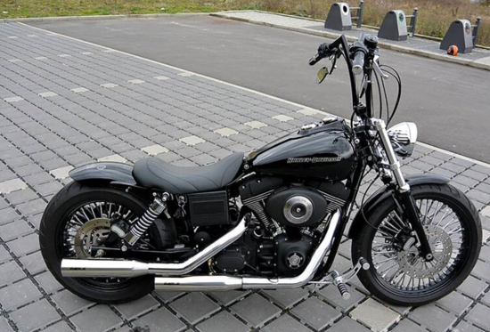 Eagle Iron - Komplettanlage / silber poliert / HD Dyna Modelle - FD-1 und FXD - 1991 - 2006 / EG-BE