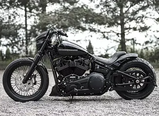 Killer Custom - Heckfender - Bobbstr 2-Up / Tüv