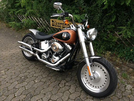 Preview: Stahlblech Frontfender - short / Stahl roh / 16 - 21" / 150er Breite - für 130er Vorderrad