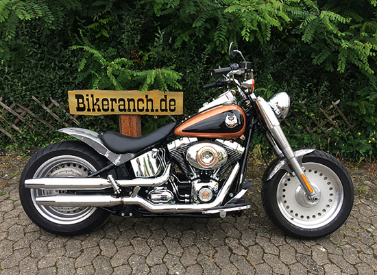 Preview: Stahlblech Frontfender - short / Stahl roh / 16 - 21" / 150er Breite - für 130er Vorderrad