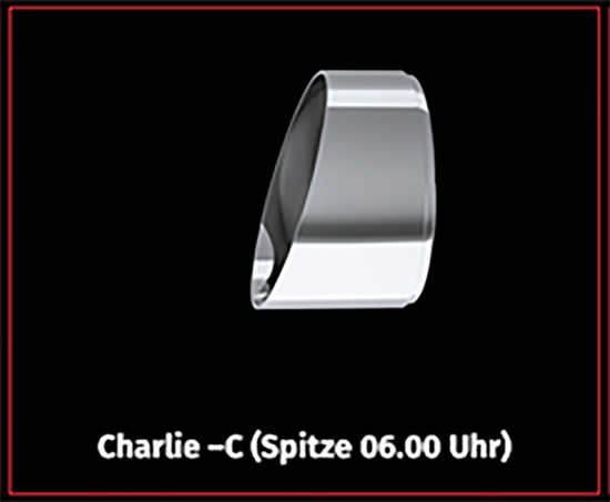Preview: PENZL - V2-Speed Auspuff / elek. verstellb. / Chrom / Harley Davidson Tourer / ME 107 / ME 114 / ab 2019 / EG-BE