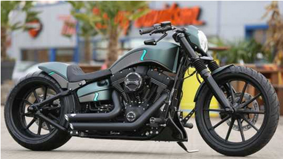 TB BUGSPOILER - Softail 2000 - 2017 / TB - R Design / Tüv-Teilegutachten