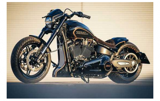 NEU: seitl. TBG - Kennzeichen-Grundh. - medium / black / HARLEY - FXDR / kein TÜV