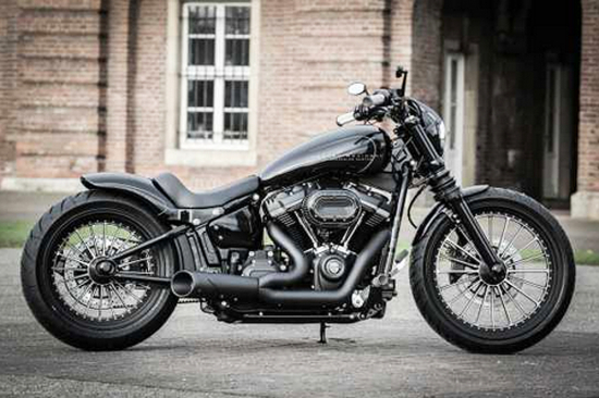 TB HECKFENDER Steel / Softail ab '18 (außer Breakout, Fat Boy & FXDR) 200mm / 18" / Tüv
