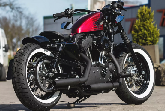 TB - HECKFENDER / "Smooth GFK" / HARLEY Sportster / ab 04 - 20 / Tüv