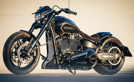 NEU 2024: seitl. BR - Kennzeichenh.- Komplett-Set - Medium Bull / schwarz / HD Softail FXDR ab 19 - 20 / Tüv