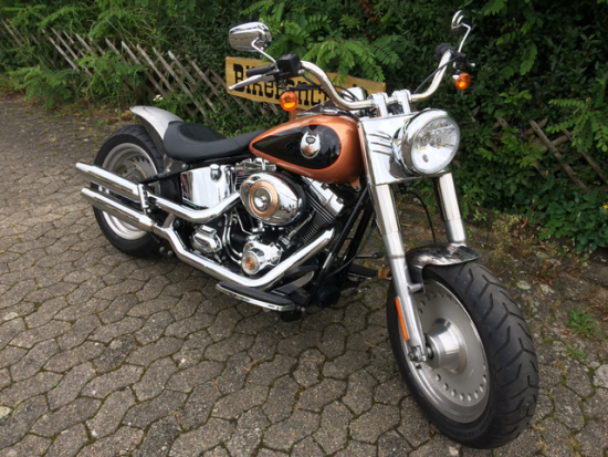 TB FRONTFENDER / STAHL / Race / "shorty" 150 // 130er Vorderrad - 16" - 21"