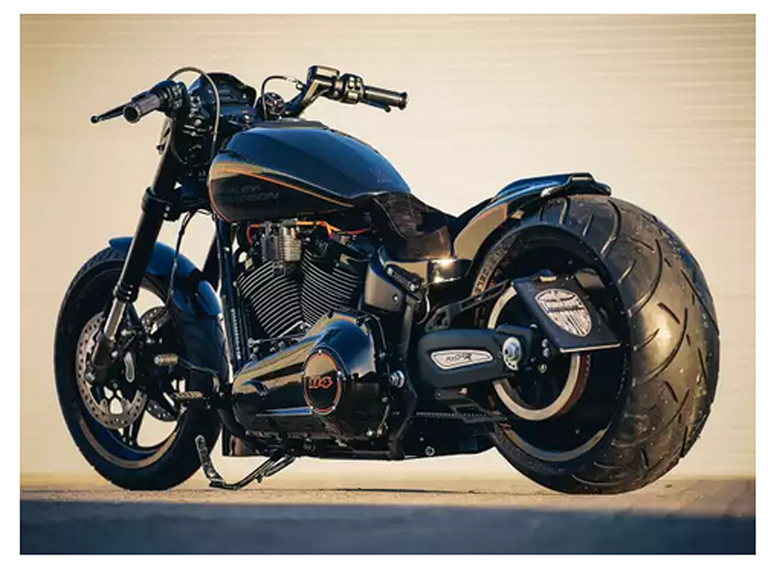 KILLERBIKESHOP.DE seitl. BR Kennzeichenhalter HARLEY SOFTAIL FXDR schwarz matt Tuv