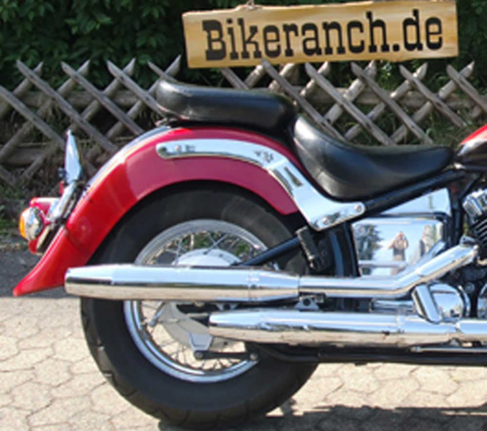 Original - Heckfender - Schutzblech / gebraucht / YAMAHA XVS 650 Classic / Stahlblech