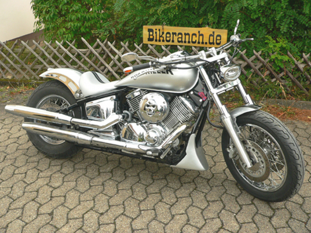 BR LUFTFILTER-ZIERPLATTE Skull / 16 cm / chrom / universal