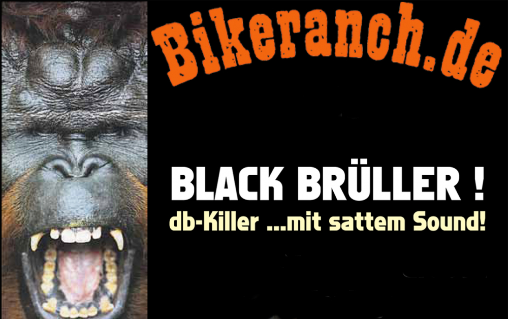 BR BLACK BRÜLLER 2 / 1 x db-Killer / ohne ABE - FALCON