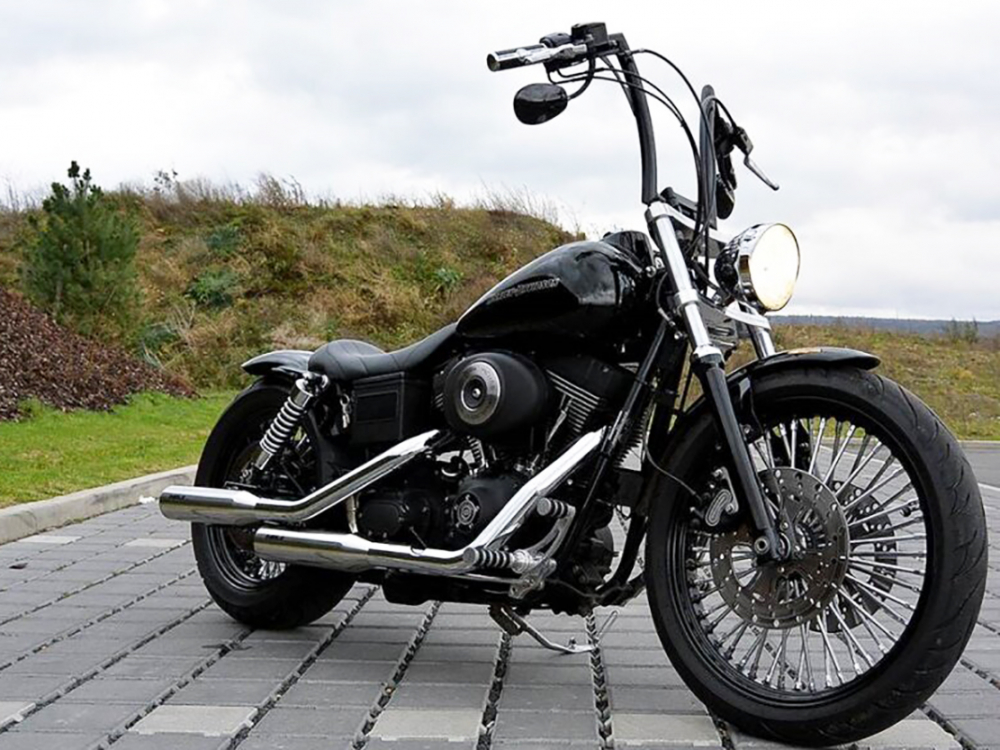 Eagle Iron - Komplettanlage / silber poliert / mit KAT / HD Dyna Modelle - 2007 - 2016 / EG-BE