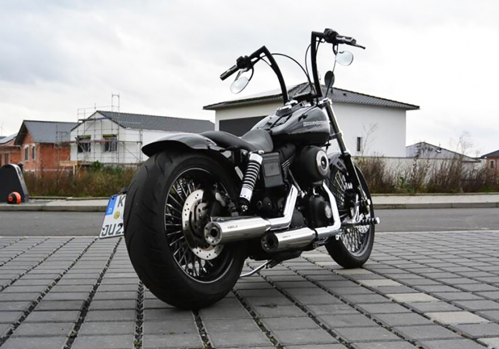 Eagle Iron - Komplettanlage / silber poliert / mit KAT / HD Dyna Modelle - 2007 - 2016 / EG-BE