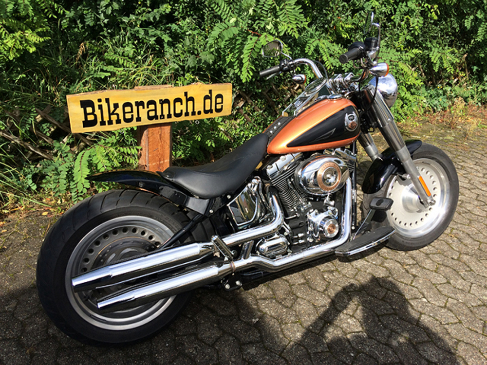BR - HECKFENDER Stiletto Smooth / NoCutOut / Stahlblech 215 mm / HD-Schwinge / Softail 08-17 / Tüv