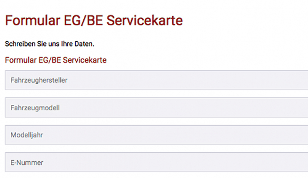 Falcon - E - Karte - Servicecard - nach Modell / EG-BE / 1 Stck