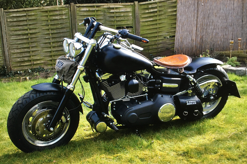 HECKFENDER Stiletto Flat - 215 mm / Stahlblech / 3er Cut / Dyna 06 - 17 / Tüv