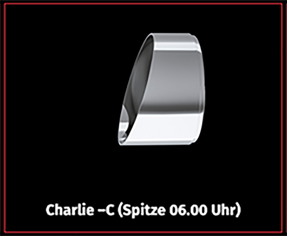 PENZL - V2-Speed Auspuff / elek. verstellb. / Chrom / Harley Davidson Tourer / ME 107 / ME 114 / ab 2019 / EG-BE