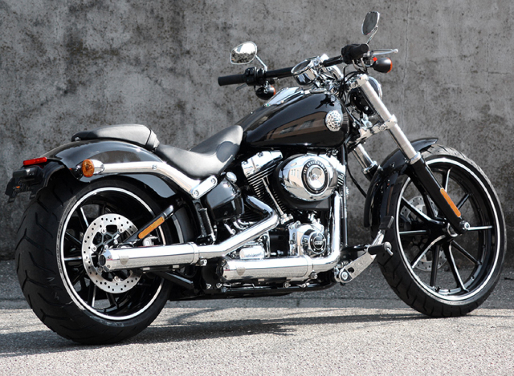 PENZL Retro Line - Auspuffset verstellb. / fein gebürstet / Harley Blackline & Crossbones / - 2016 / EG-BE