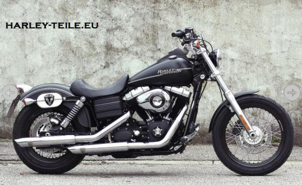 PENZL - Neo Classic Auspuffset verstellb. / fein gebürstet / Harley Dyna StreetBob - Low Rider / 08-16 / EG-BE