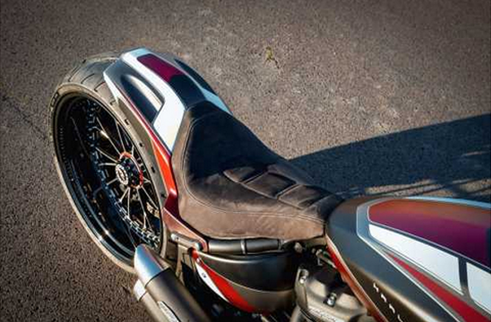 TB Heckfender GP-Style / FatBoy, Breakout & FXDR / 260 mm / 21" Rad / ab 2018 / mit Rücklicht + Blinker / Tüv