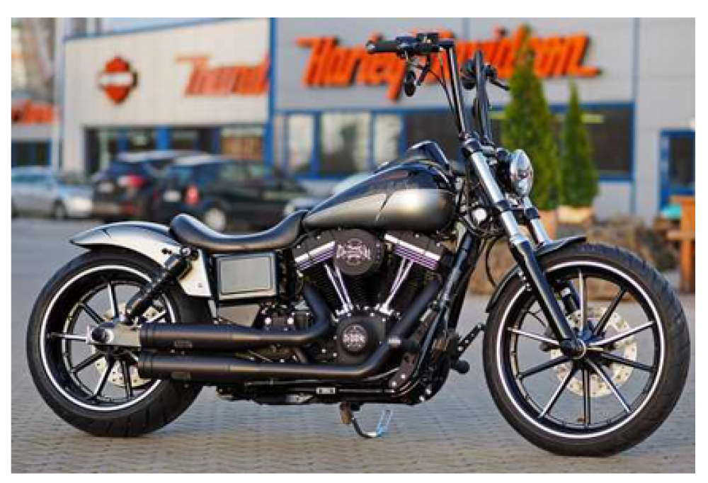 TB - HECKFENDER - Steel - 18"/ 260er + 3-in-1 Rücklichtblinker - Harley Dyna 06 - 17 / Tüv