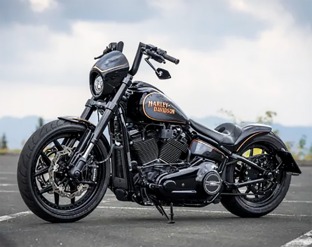 seitl. BR - Kennzeichenh. Kompl.-Set / Medium Pro / schwarz matt / HD Softail / ab 2018 / inkl. TÜV