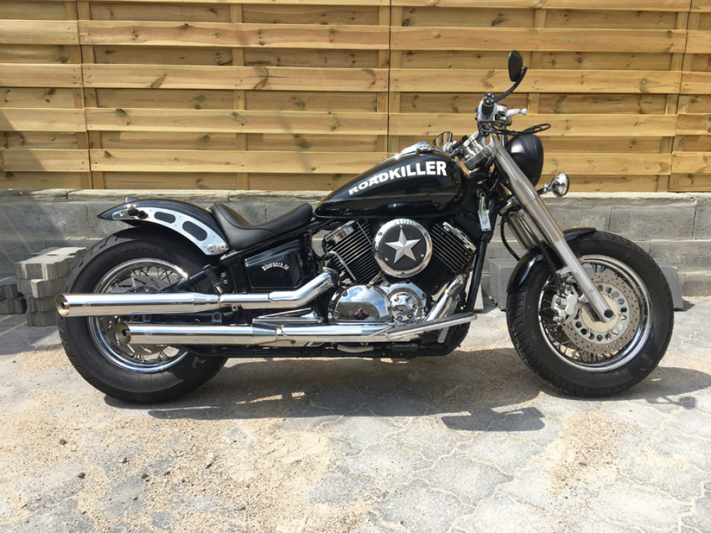 GFK HECKFENDER C - RAI 3 / 210 / GFK / kurz - rund / Struts poliert / YAMAHA XVS 1100 + CLASSIC / TÜV