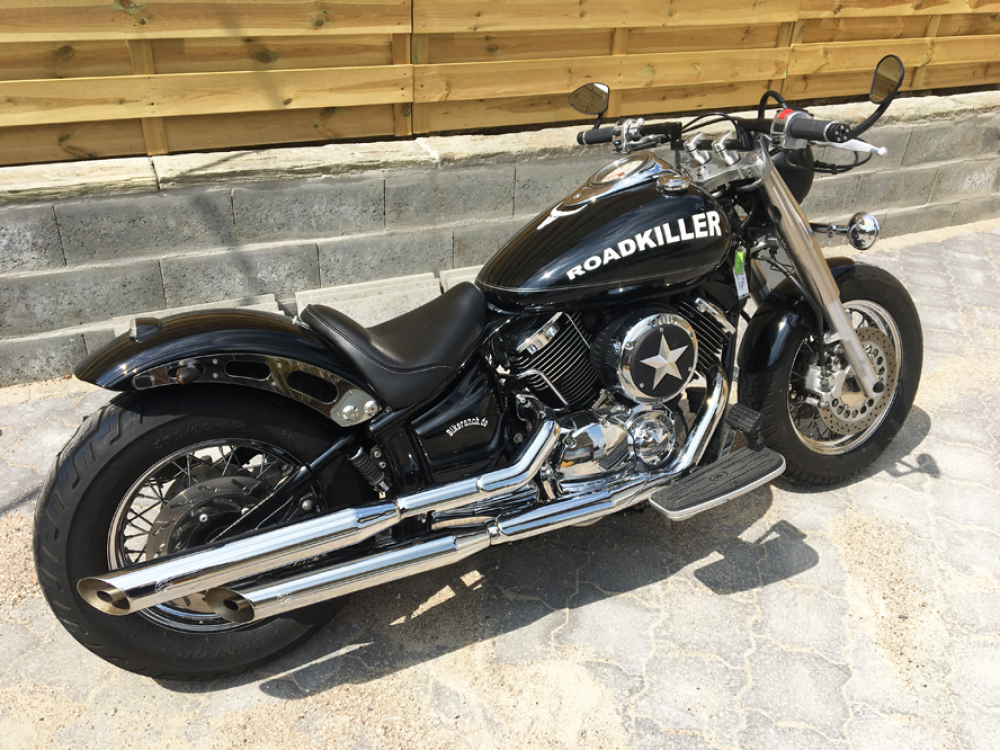 GFK HECKFENDER C - RAI 3 / 210 / GFK / kurz - rund / Struts poliert / YAMAHA XVS 1100 + CLASSIC / TÜV