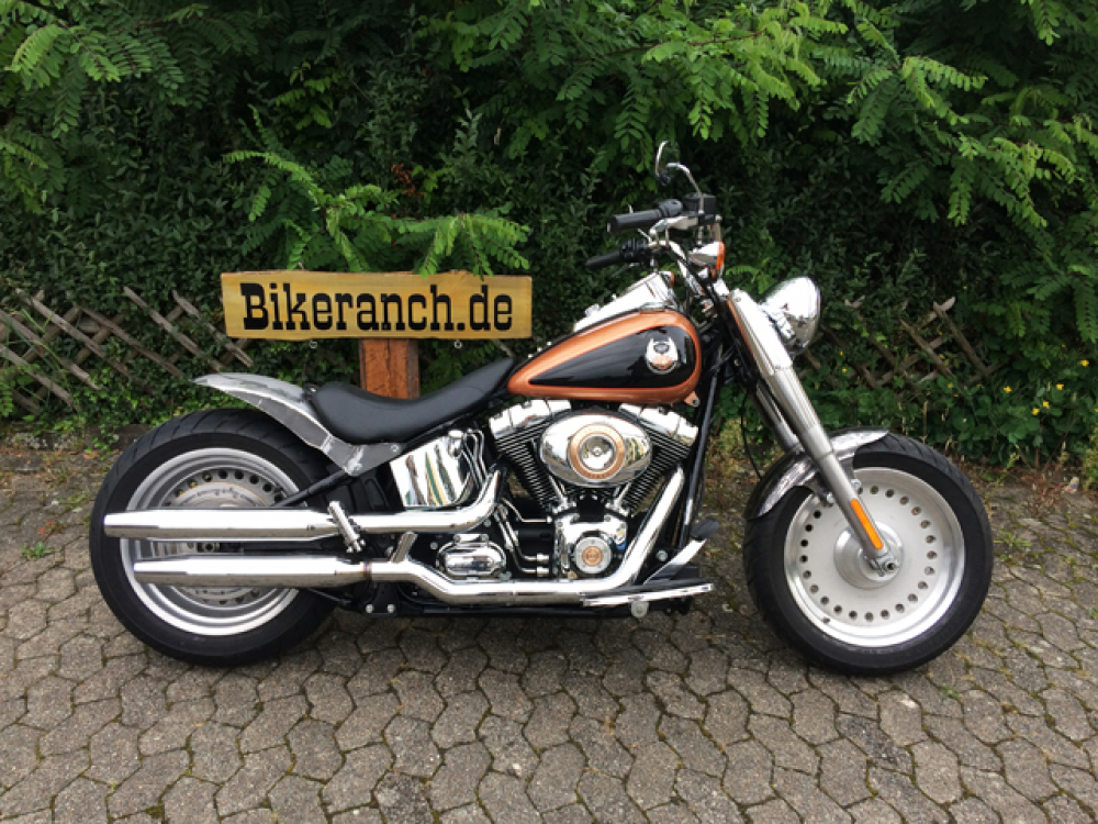 MB FRONTFENDER / STAHL roh / 16 - 21" / W 150 x L 470 mm / 150er für 130er Vorderrad