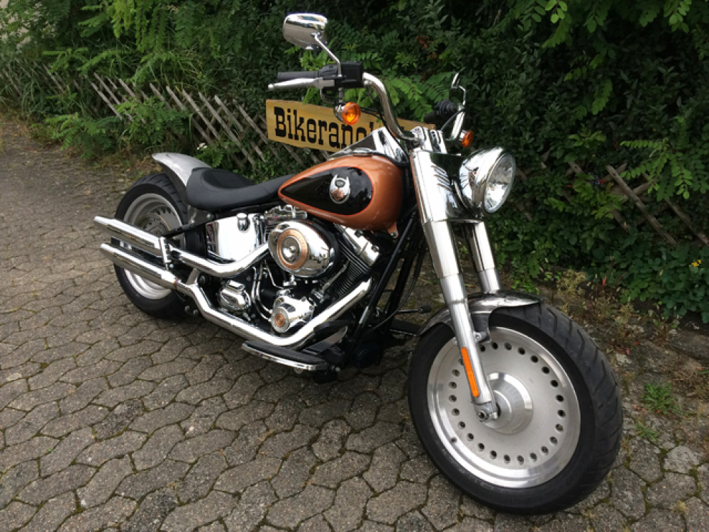 TB FRONTFENDER / STAHL / Race / "shorty" 150 // 130er Vorderrad - 16" - 21"
