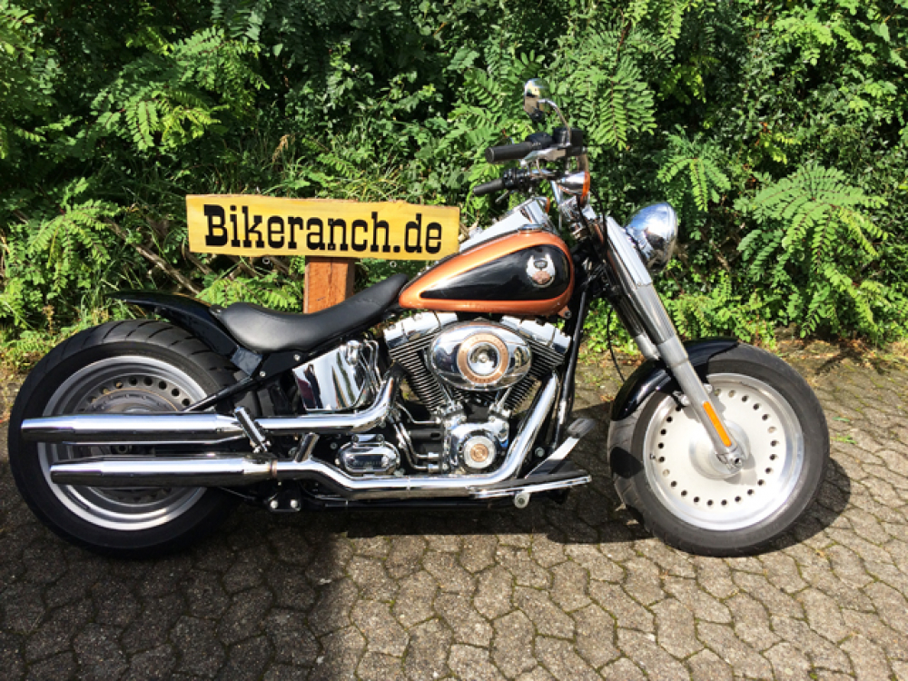 BR - Heckfender Stiletto Smoth mit E-Box / Stahlblech 215mm / mittig / Softail 08 up / Tüv